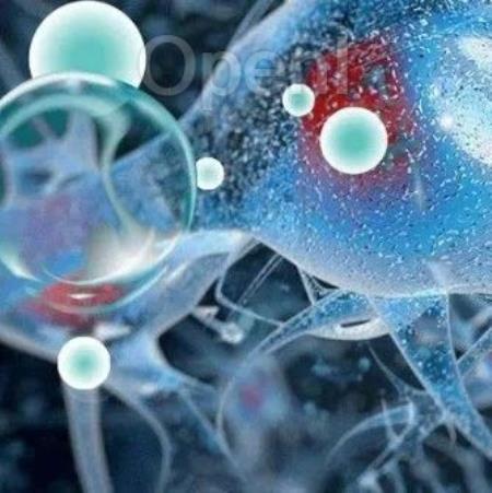 Nature | 逆转时光：一项针对小鼠的研究揭示了免疫系统年轻化的可能（逆转效应是什么意思）