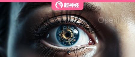 协和眼科牵头 ，5 家眼科中心同发力，用 AI 助力 13 种眼底疾病检测（协和医院眼底科专家）