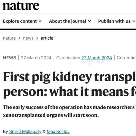 Nature | 跨物种移植的突破：首例人体猪肾移植成功（猪肾移植到了什么程度了）