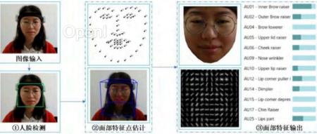 基于多模态数据的学习者专注度研究（多模态数据集）