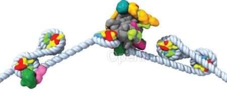 ML如何推动结构生物学的发展？哈佛科学家用AI在最小尺度上研究人类发育（结构生物学百度百科）