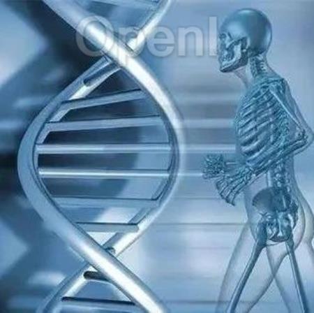 未来的生命形态会是怎样的？ | 智能渐近线（未来生命健康产业）