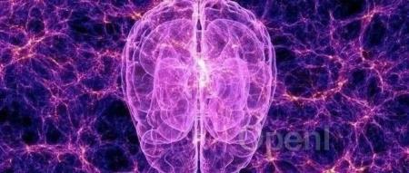 Cell：出乎意料！肺和大脑之间有一条直接的沟通途径（肺脑病是什么病）